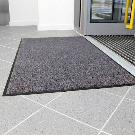 Tapis d'Entrée 60x80x0.5cm