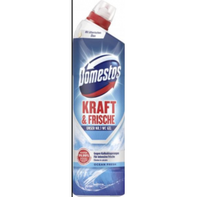 DOMESTOS KRAFT & FRISCHE
